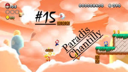 New Super Mario Bros. U [15] Fails et re-Fails