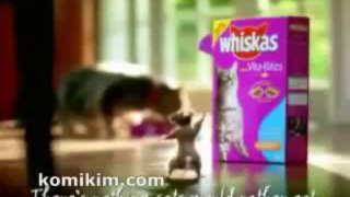 Yabacı Komik Reklamlar Whiskas Kedi Maması Reklamı
