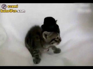 Moda Düşmanı Anne