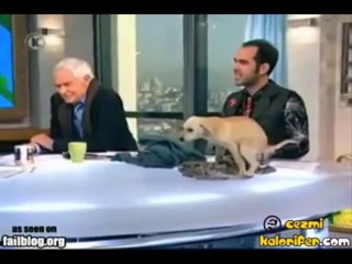 Canlı Yayının İçine Etmek