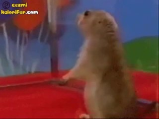 Dramatic Gopher