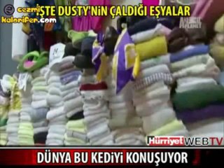 Dünyayı Şok Eden Hırsız Kedi:)