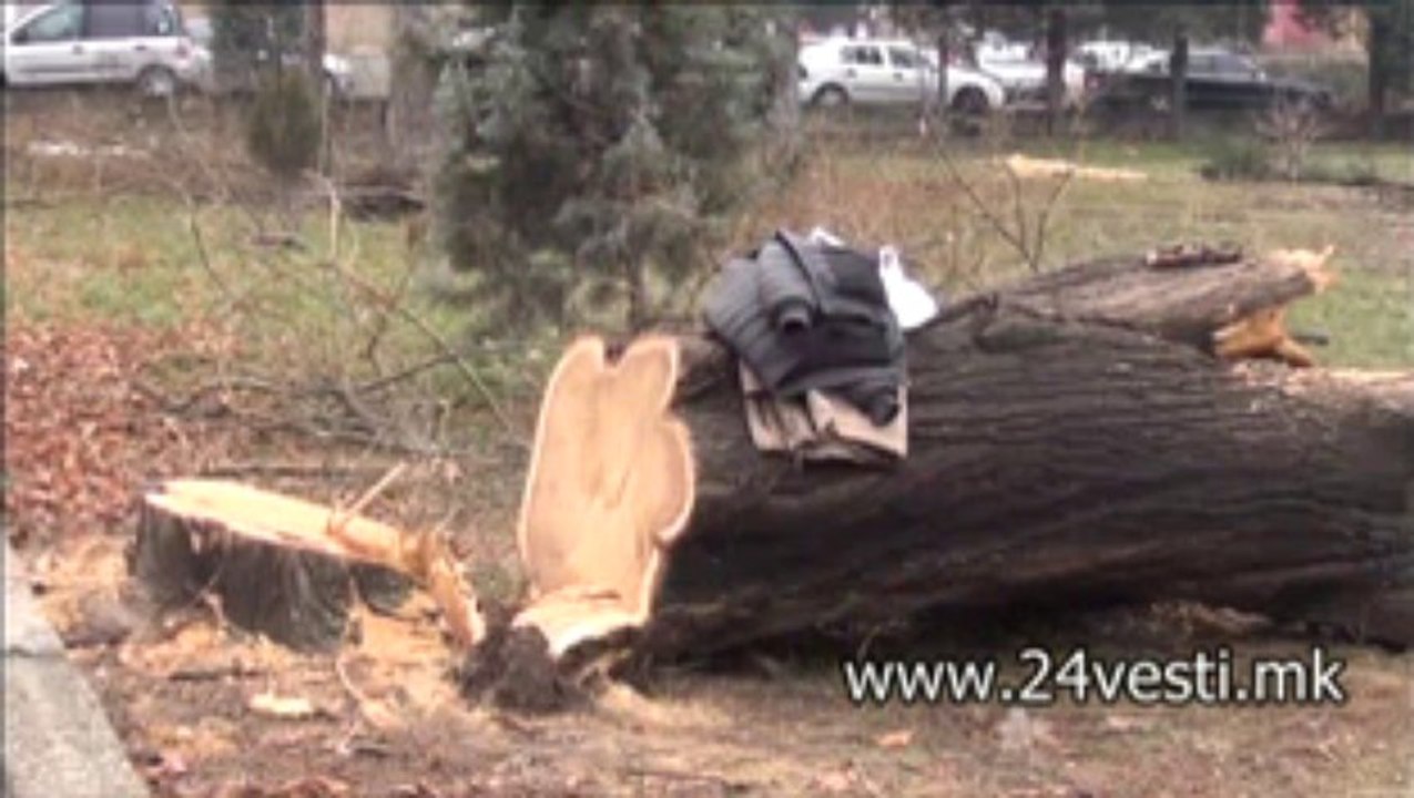 SE SECAT DRVJA VO VELES