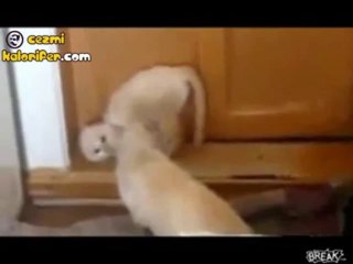 Eşi Benzeri Görülmemiş Dövüş Taktiği