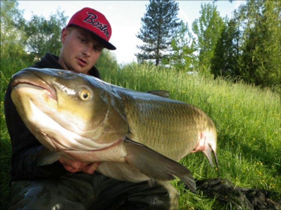 Session Amours blancs de 4 nuits en lac (du 12 au 16 mai 2013)