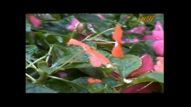 LA VERITE LIBRE épisode 1.2 Démonstration de l'existence d'un créateur par l'univers