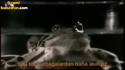 Kurbağa Deneyi - Küresel Isınma