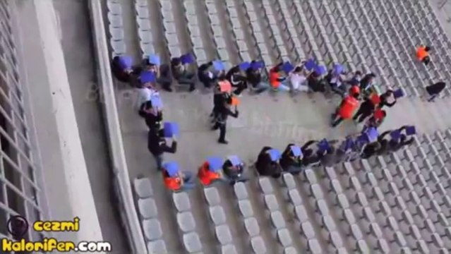 Boz Baykuşlar - PING PONG