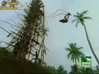 Yerli Stili Bungee Jumping