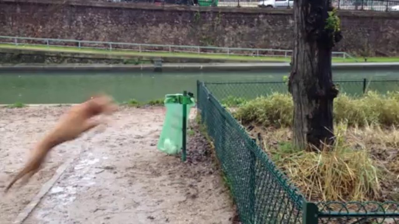 Aitch jumps, and jumps, and jumps...