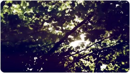 William Braun General Contracting (717) 271-9795