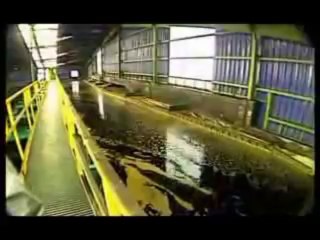 Copper Extraccion process. Proceso de extraccion Cu Chancado(240p_DASH_H.264-AAC)