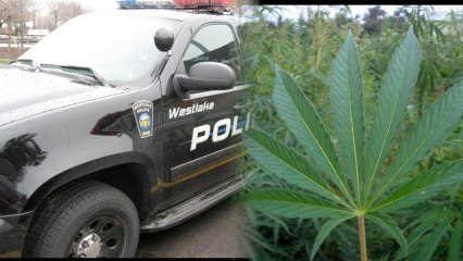 Men Call Cops After Sword Fighting Teens Steal Weed