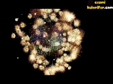 Japon Yapımı Havai Fişek