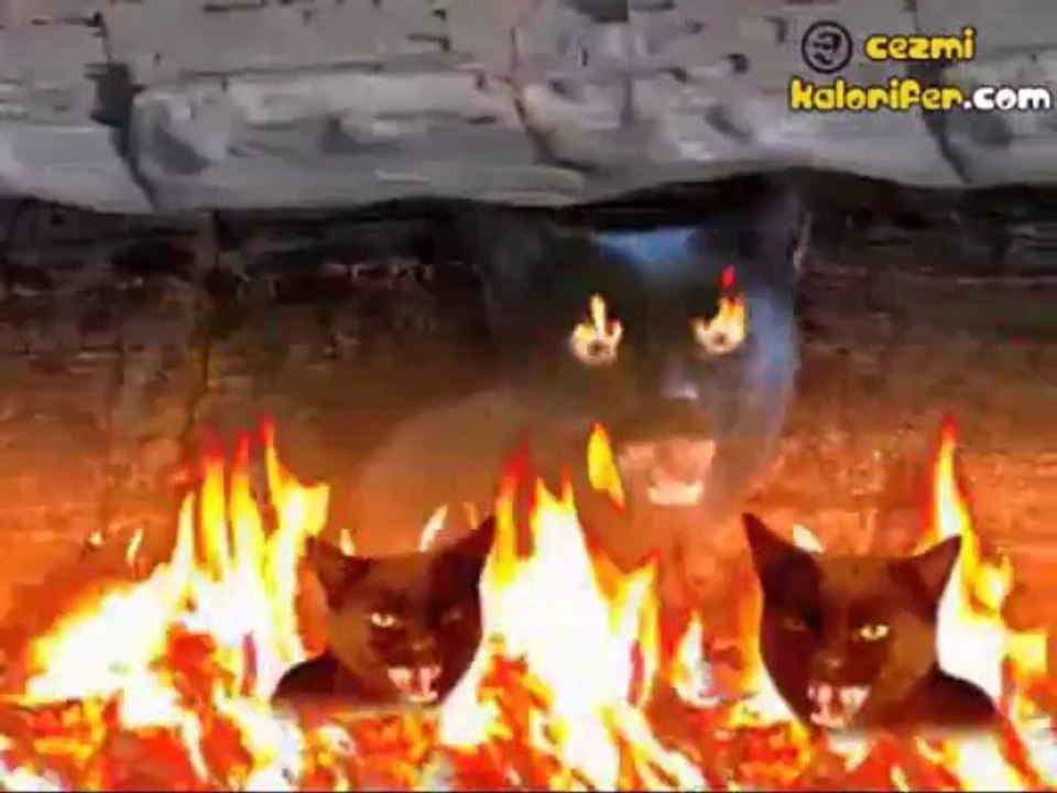 Meow Mix