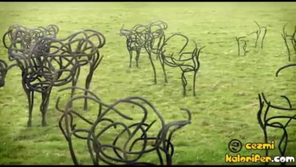 Şizofrenik Öküz Animasyonu