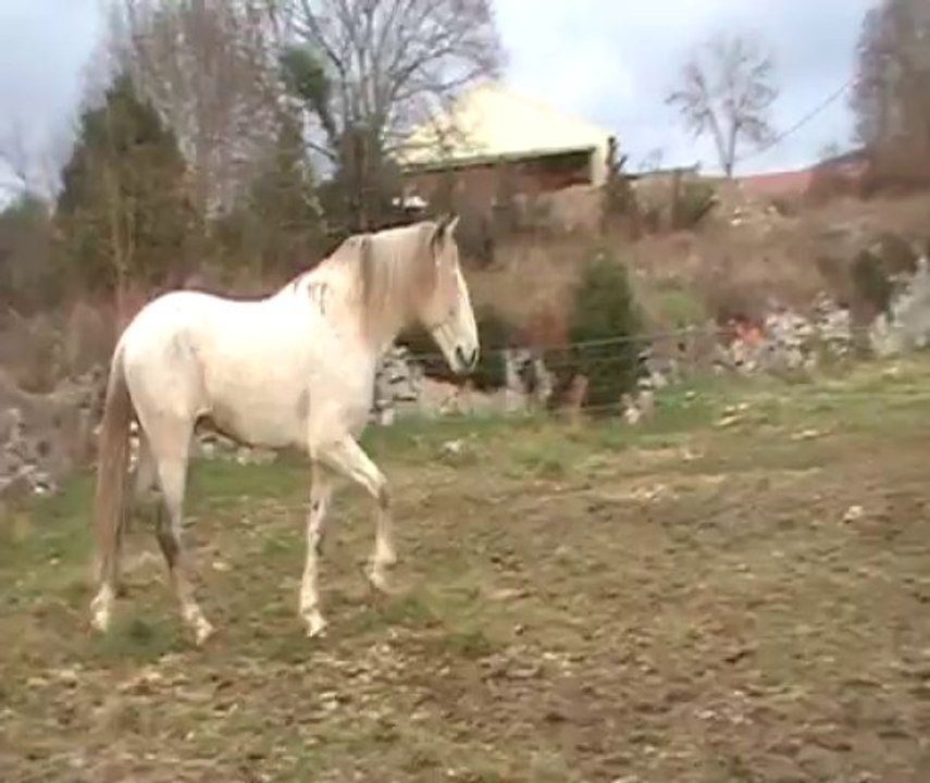 MogrovejoII, 11 janvier 2014