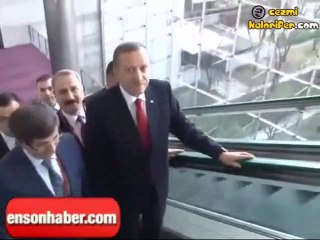 Başbakan’ı Çekme Aşkıyla Ters Merdivene Tırmanan Adam