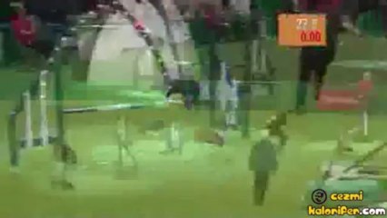 Gösterinin İçine Eden Köpek