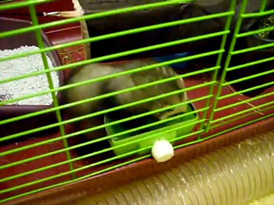 Jeu d'eau (16/01/2014)