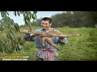 Tayland Usulü Gübre Reklamı