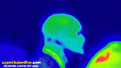 Obama'nın Korumasının Lord Voldemort Olması