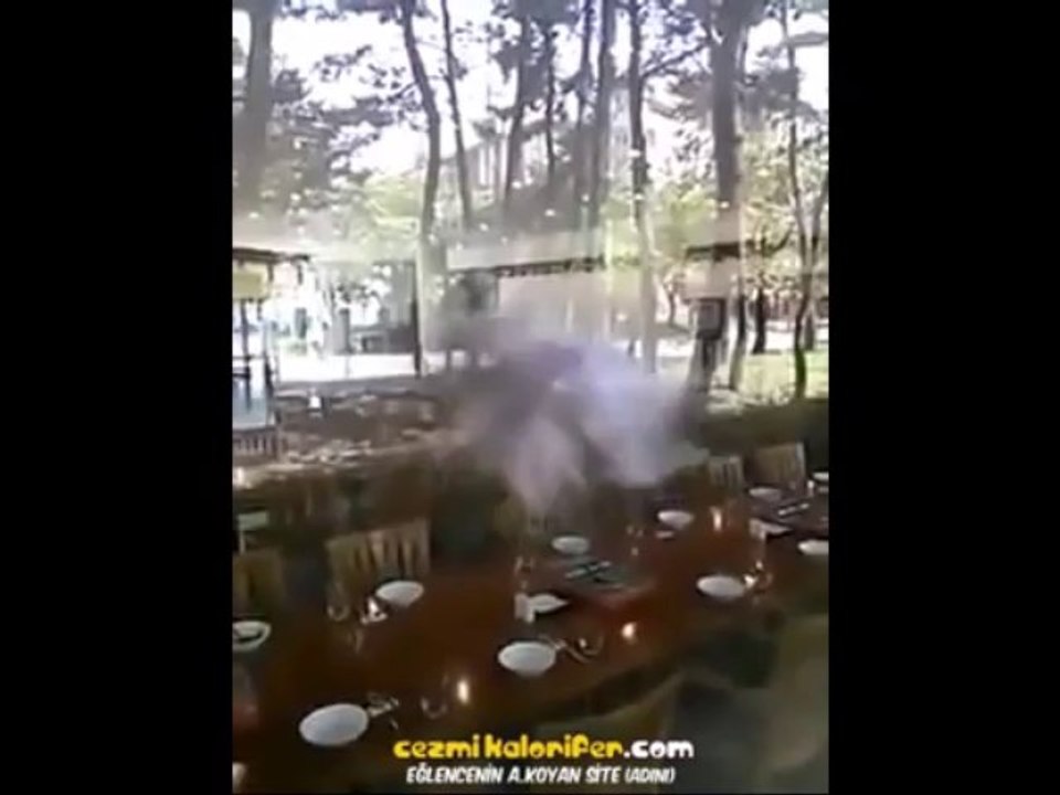 Ölü Taklidi Yapan Mösyö Baykuş