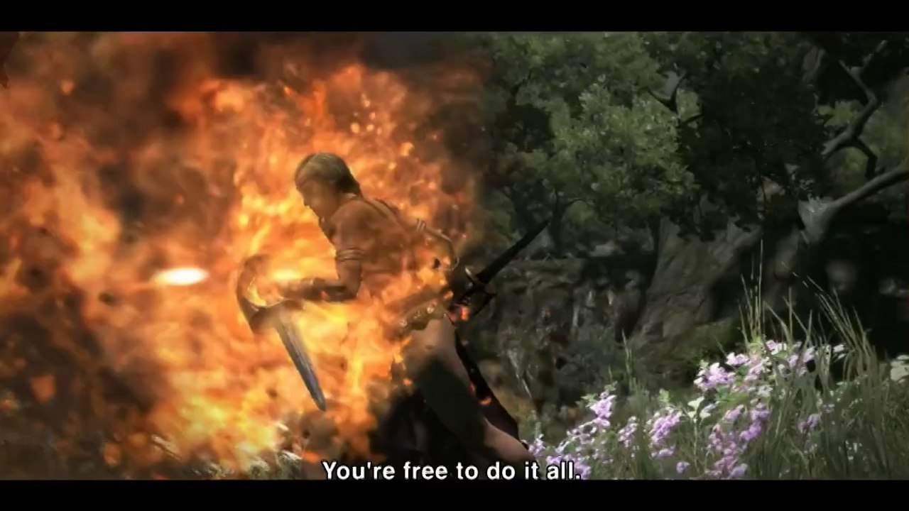 Dragon's Dogma - Developer Diary #2