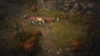 Diablo III - Demon Hunter : Chakram
