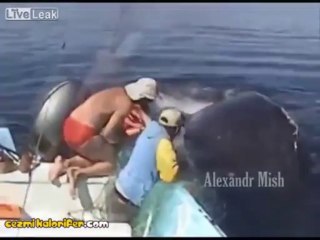 Kötü Dünya'nın İyi İnsanları 3