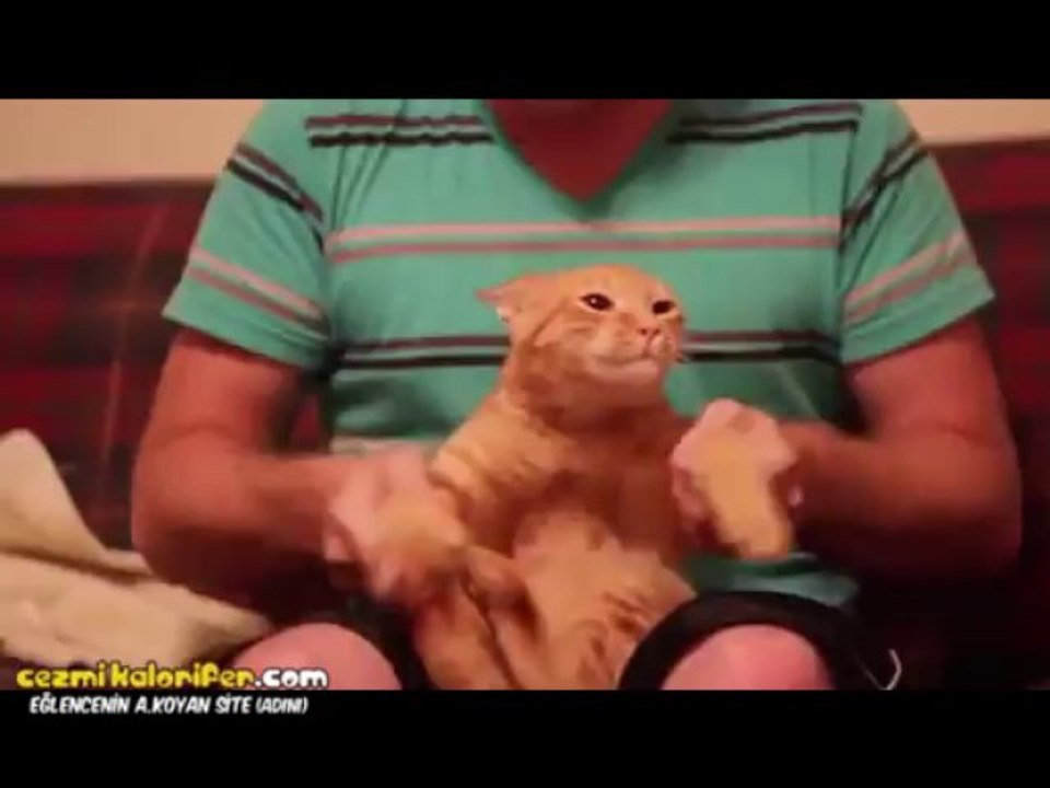 Dubstep Kedi (Uzun Versiyon)