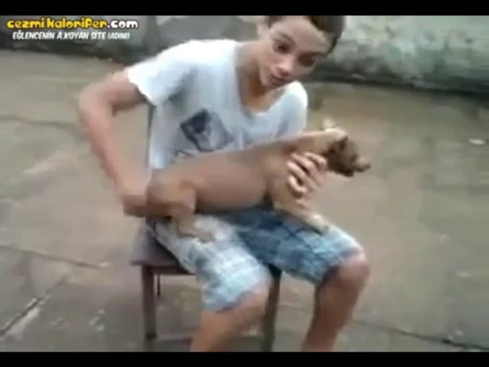 Kurmalı Köpek