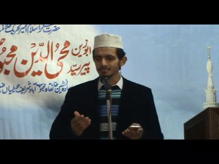 7- Kalam e Mehmood  (Syed Zulqarnain Shah)