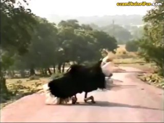 Ritimle Birlikte Kendinden Geçen Devekuşu