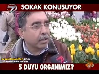 5 Duyu Organımız Nedir?