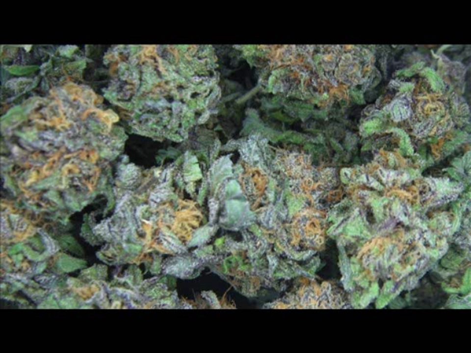 Young track aka Treezy feeling so high