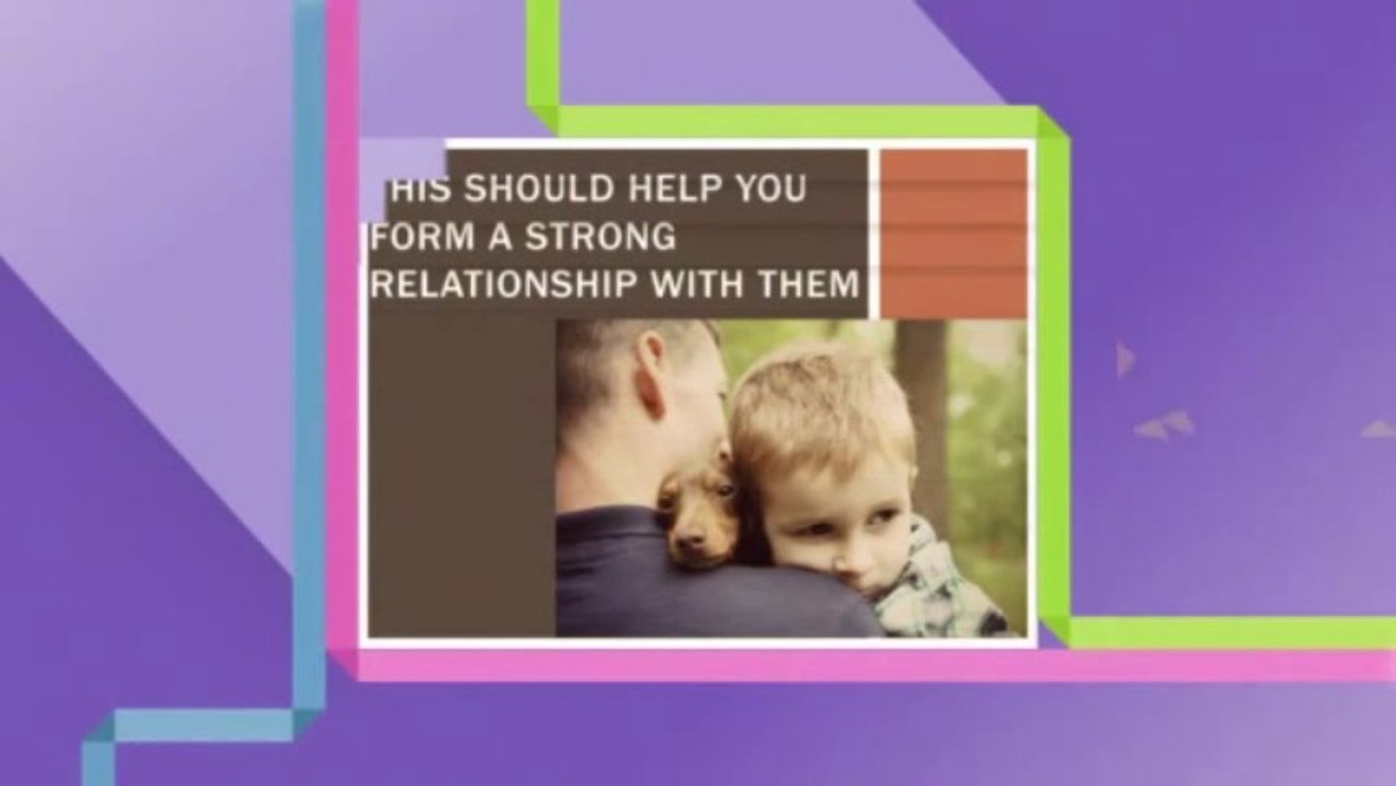 What You Should Know Before Teaching Dog Tricks