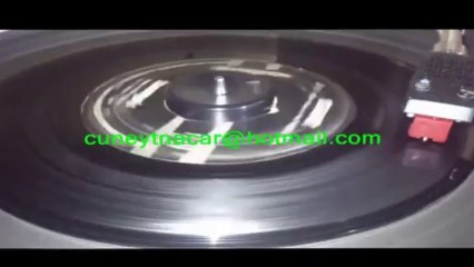 Berkant   -   Samanyolu (Orjinal Plak Kayıt)