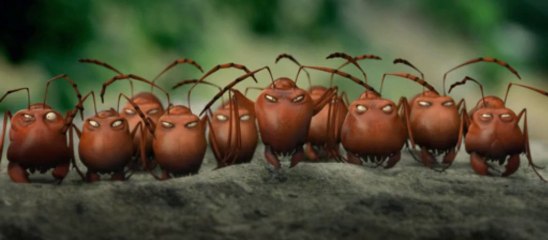 Minuscule La Vallée des Fourmis Perdues : bande annonce