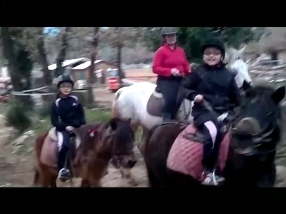 haras du soleil 2