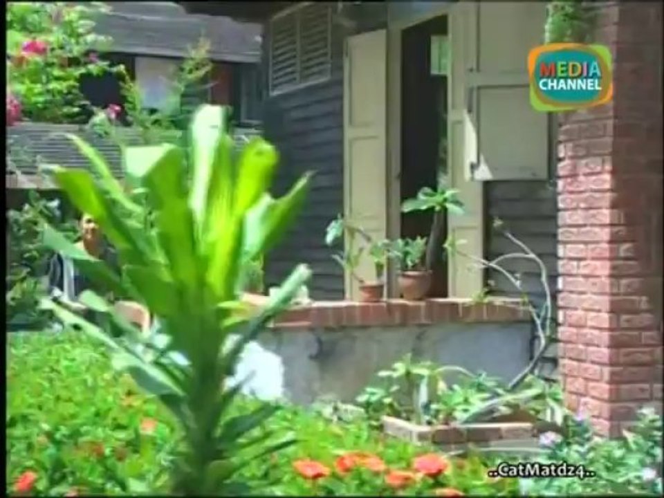 ฟ้ากระจ่างดาว 2548 (ป๋อ ณัฐวุฒิ นุ่น วรนุช เก้า จิรายุ)