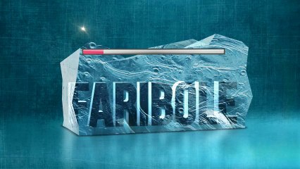 Dis-moi dix mots...à la folie : fariboles