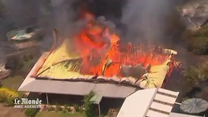 La canicule déclenche des centaines de feux dans le bush australien