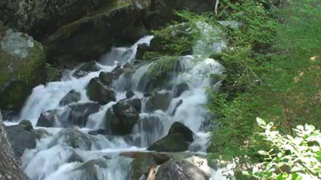 Video03
