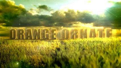 Green Wheat Field - After Effects Template