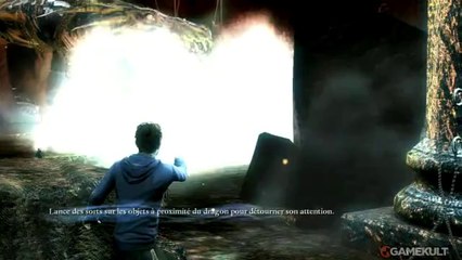 Harry Potter et les Reliques de la Mort - Deuxième Partie - Embuscade à Gringotts