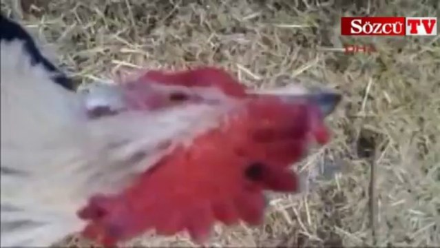 Tam kesilecekken öyle bir şey dedi ki..