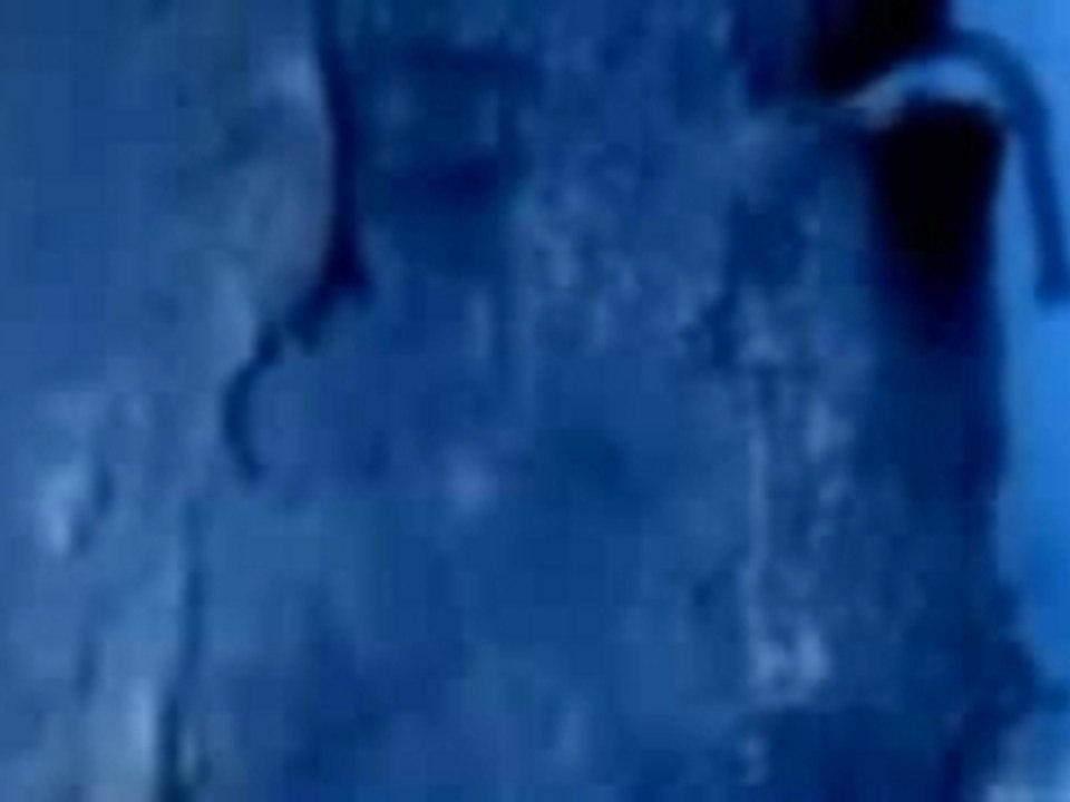 Mylene Farmer - L'Horloge