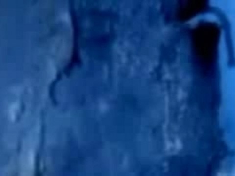 Mylene Farmer - L'Horloge