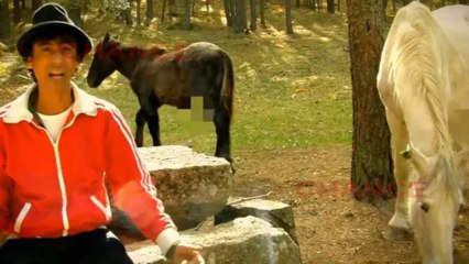 El flamenco rinde un sentido homenaje a Morente